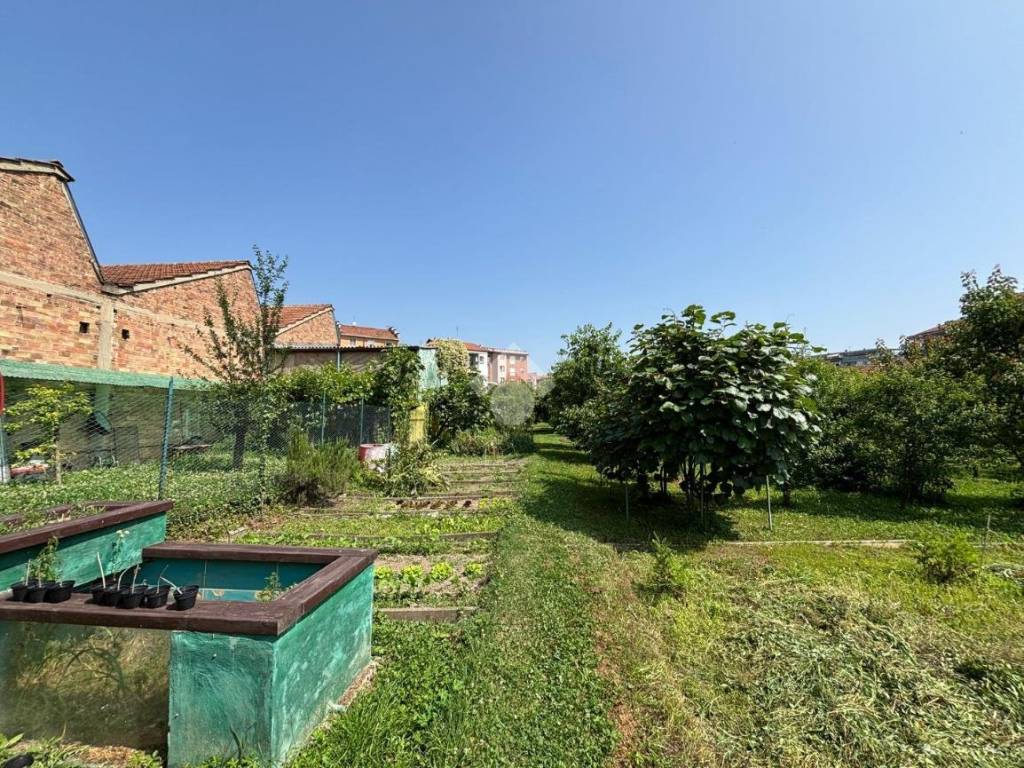 Terreno