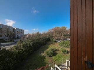 Vista