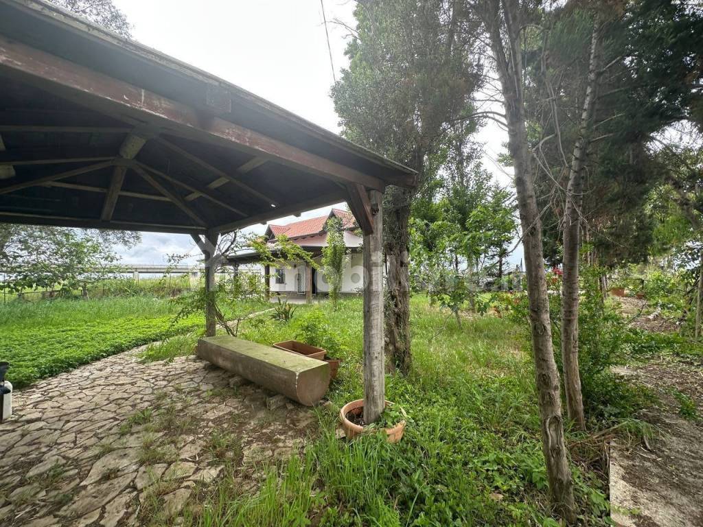 Terreno