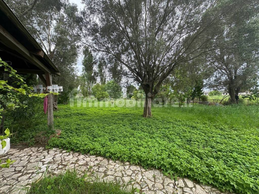 Terreno