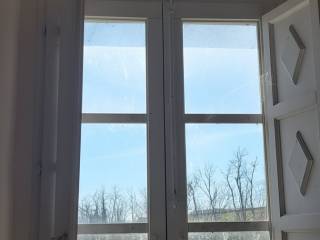 Vista