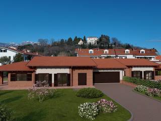 Vista