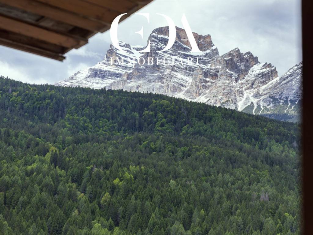 Vista