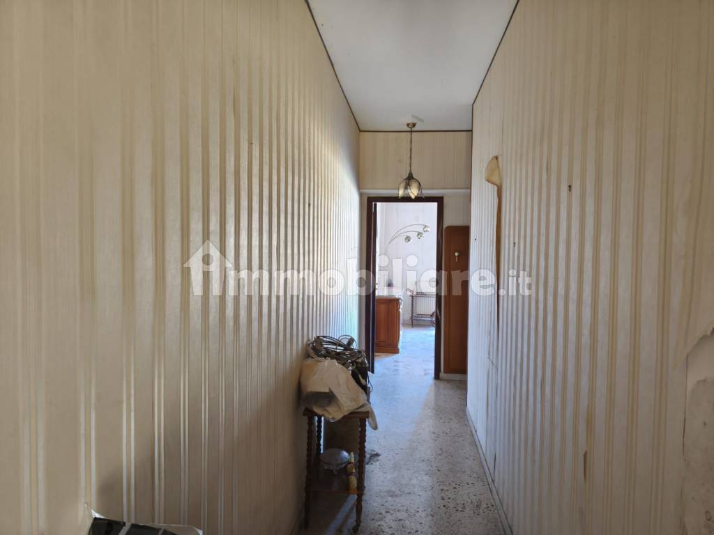 Ingresso