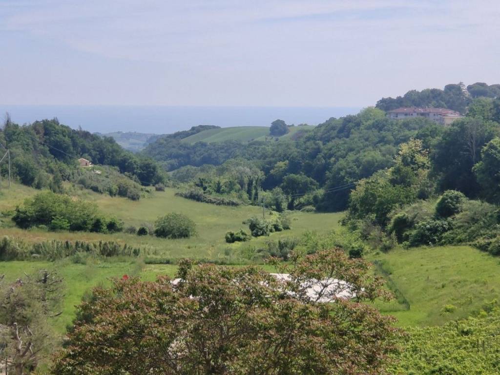 Vista