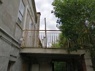 Vista