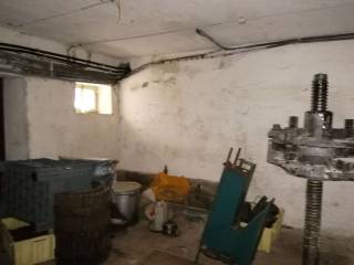 Cantina