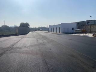 Zona