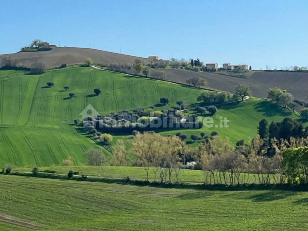 Terreno