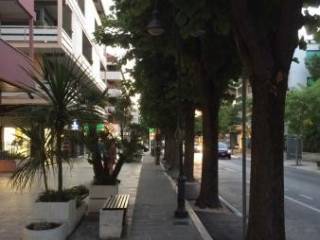 Zona