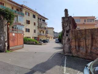 Zona