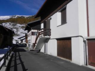 Zona