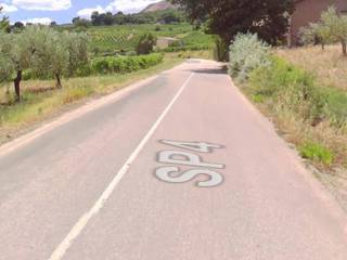 Zona