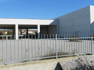 Ingresso