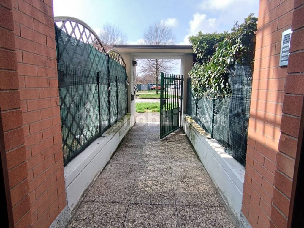 Ingresso