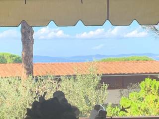 Vista