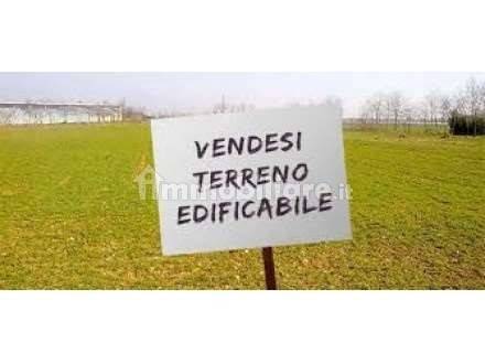 Zona