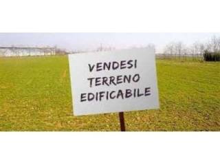 Zona