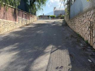 Zona
