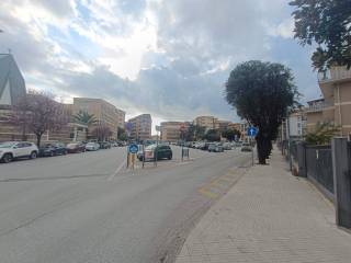 Zona