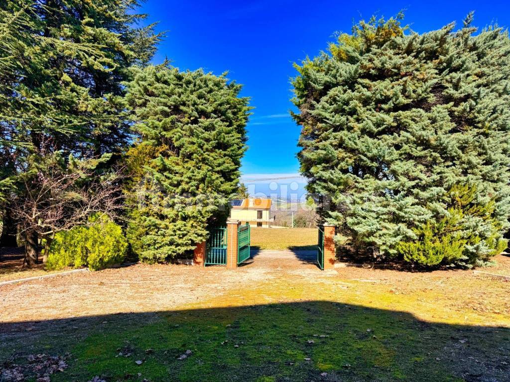 Giardino