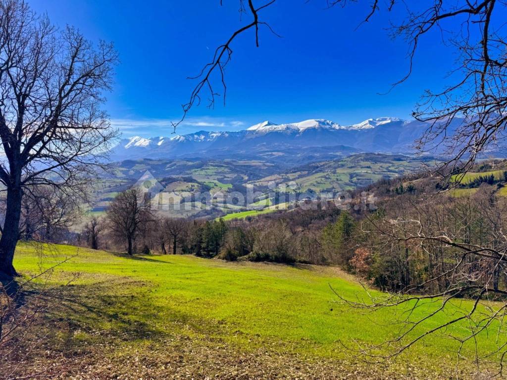 Vista