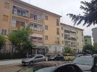 Zona