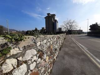 Zona