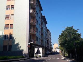 Zona