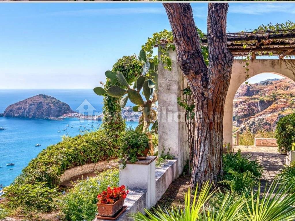 Vista