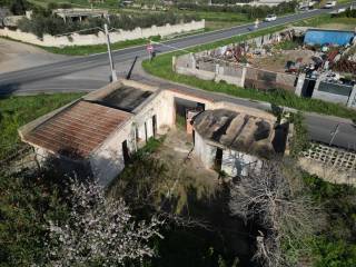 Zona