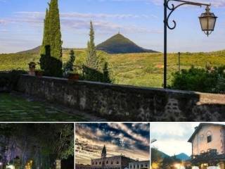 Vista