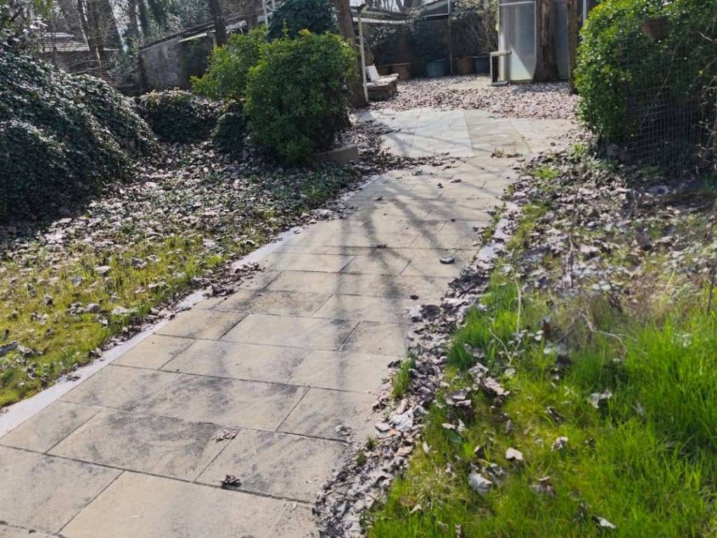 Terreno