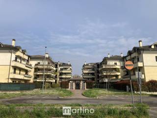 Zona
