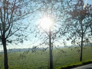 Zona