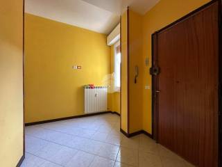 Ingresso
