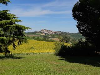 Vista