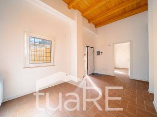 Ingresso