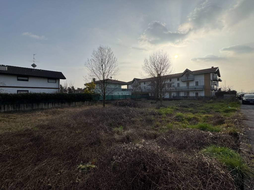 Terreno
