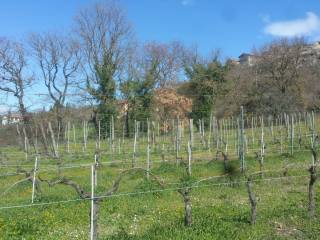 Terreno