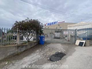 Zona