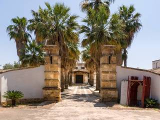 Zona