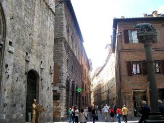 Zona