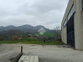 Zona