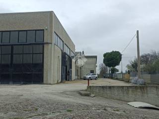 Zona