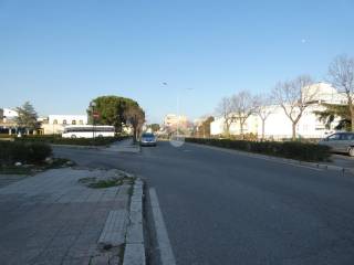 Zona
