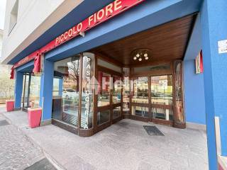 Ingresso