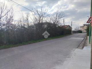 Zona