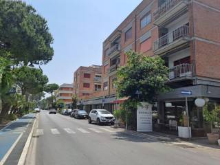 Zona