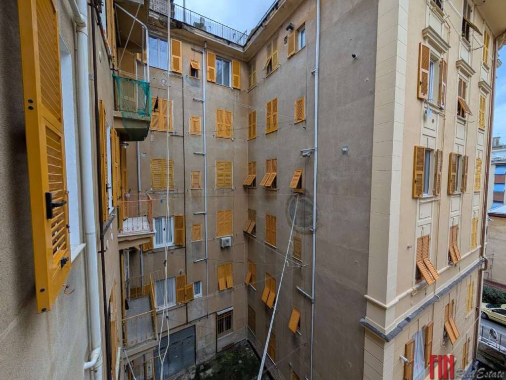 Vista
